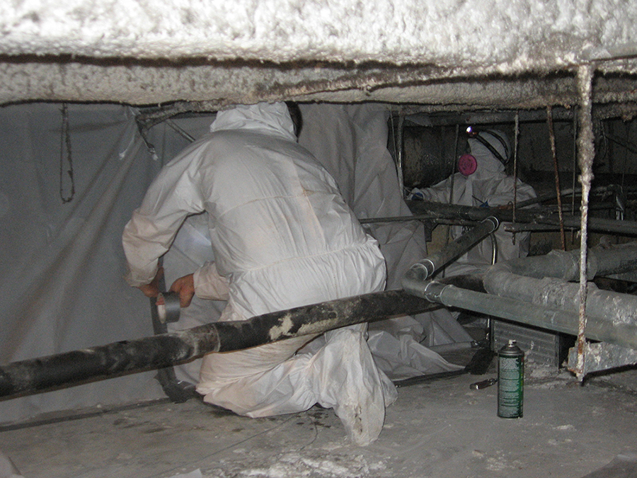 Mold Inspection | Clear Property Inspections