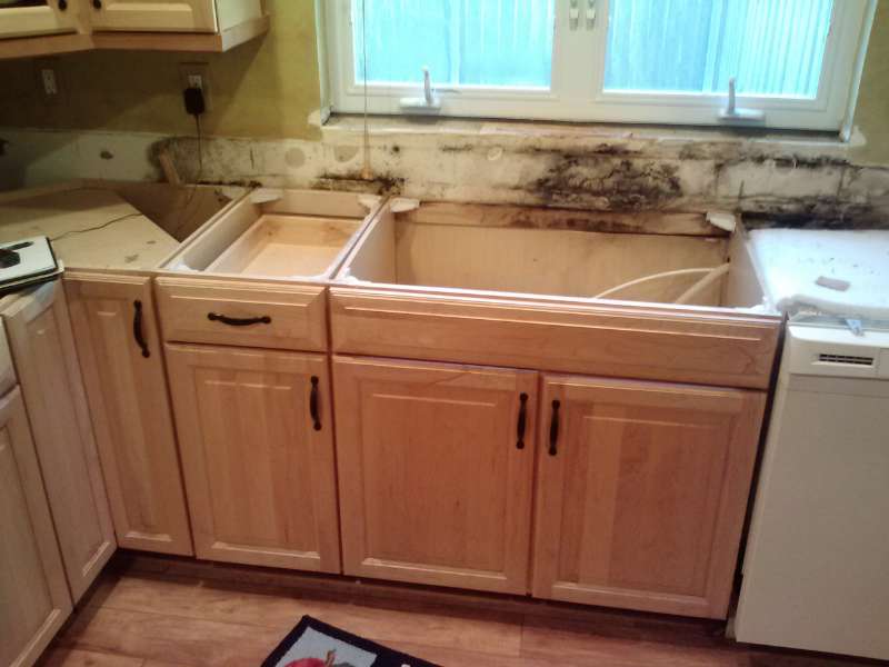 black mold 2