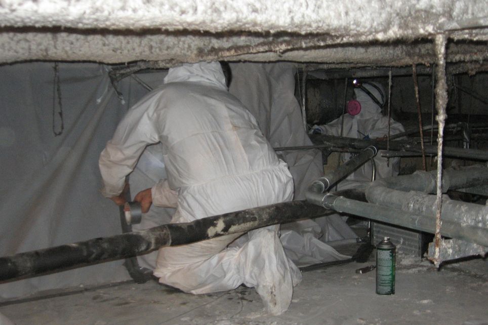 What’s the difference between Mold Inspection and Testing?