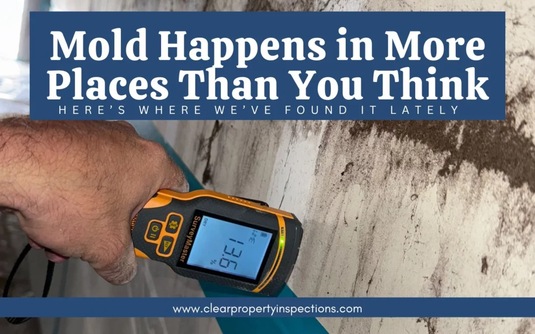 Mold Happens In More Places Than You Think