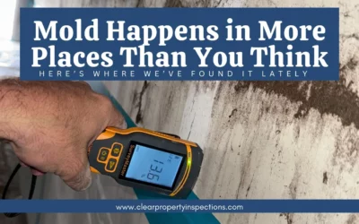 Mold Happens In More Places Than You Think