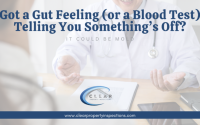 Got a Gut Feeling (or a Blood Test) Telling You Something’s Off?